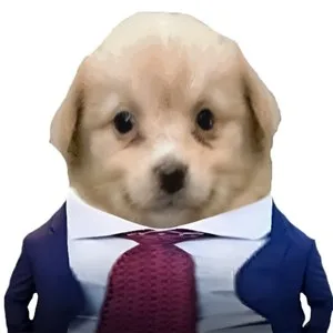 vanunifn avatar