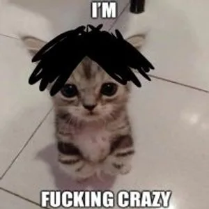 zotaxfn avatar